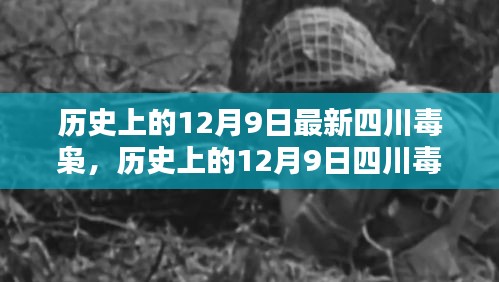 历史上的12月9日四川毒枭深度解析与揭秘