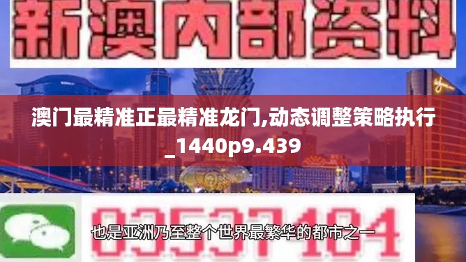 澳门最精准正最精准龙门,动态调整策略执行_1440p9.439