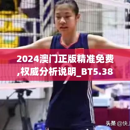 2024澳门正版精准免费,权威分析说明_BT5.387