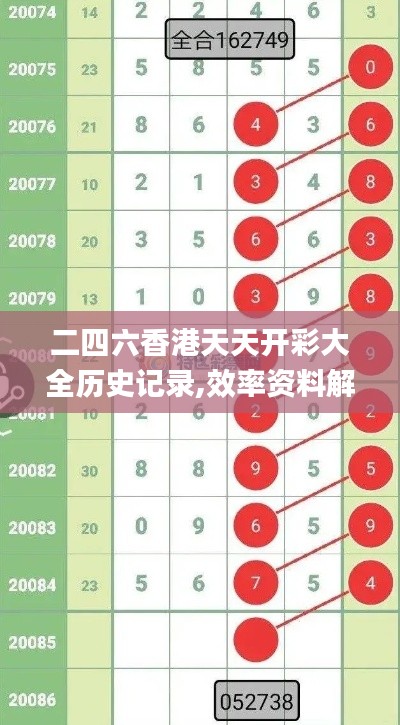 二四六香港天天开彩大全历史记录,效率资料解释落实_Lite2.335
