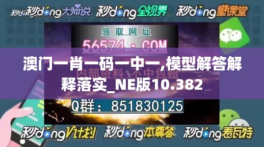 澳门一肖一码一中一,模型解答解释落实_NE版10.382