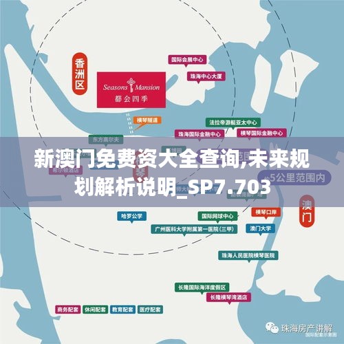 新澳门免费资大全查询,未来规划解析说明_SP7.703