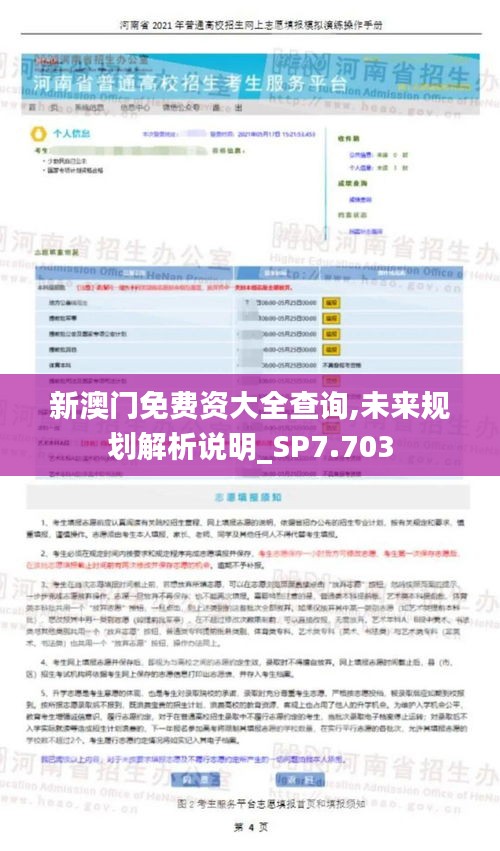 新澳门免费资大全查询,未来规划解析说明_SP7.703