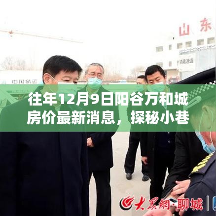阳谷万和城房价最新动态与小巷宝藏奇遇记