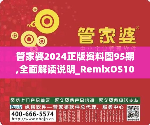 管家婆2024正版资料图95期,全面解读说明_RemixOS10.641