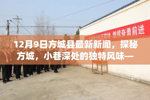 探秘方城，小巷独特风味——最新方城县新闻12月9日