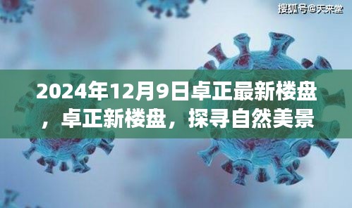 优秀摄影 第148页