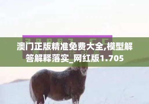 澳门正版精准免费大全,模型解答解释落实_网红版1.705
