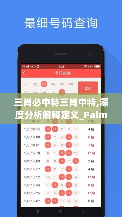 三肖必中特三肖中特,深度分析解释定义_PalmOS9.903
