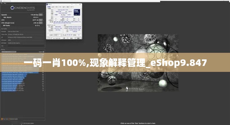 一码一肖100%,现象解释管理_eShop9.847