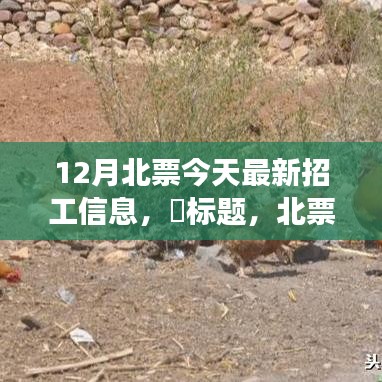 北票十二月招工新篇章，探寻自然美景，寻求内心宁静与和谐