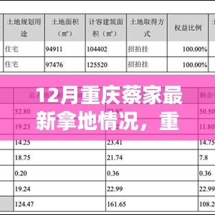 重庆蔡家地区最新拿地动态及分析聚焦观点探讨
