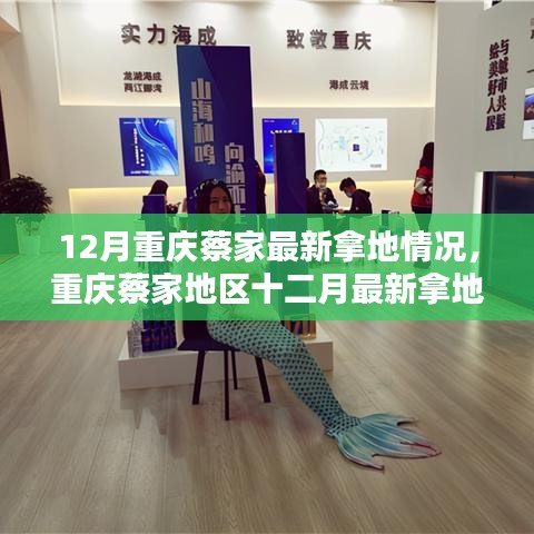 重庆蔡家地区最新拿地动态及分析聚焦观点探讨