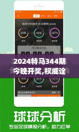 2024特马344期今晚开奖,权威诠释推进方式_V版6.971