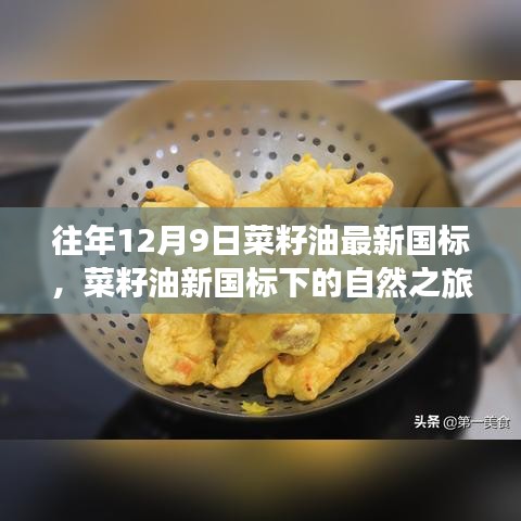 菜籽油新国标下的自然之旅，寻找内心平静的奇妙探险之旅