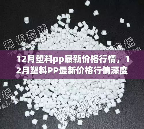 12月塑料PP价格行情深度解析与评测