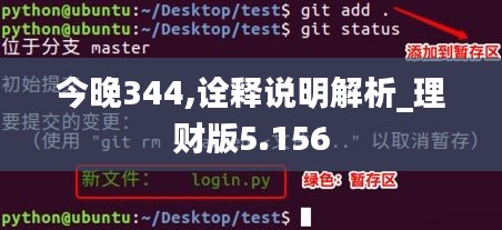 今晚344,诠释说明解析_理财版5.156