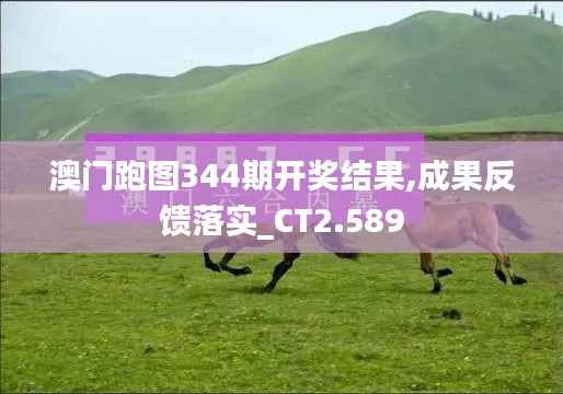 澳门跑图344期开奖结果,成果反馈落实_CT2.589