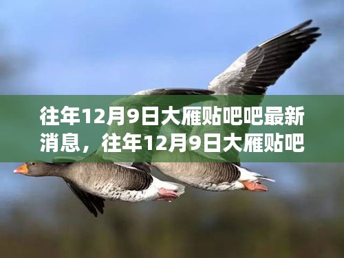 娇小玲珑 第2页
