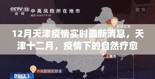 12月天津疫情实时最新消息，天津十二月，疫情下的自然疗愈之旅，寻找内心的宁静与平和