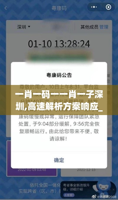 一肖一码一一肖一子深圳,高速解析方案响应_冒险版9.503