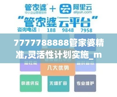 7777788888管家婆精准,灵活性计划实施_mShop2.903