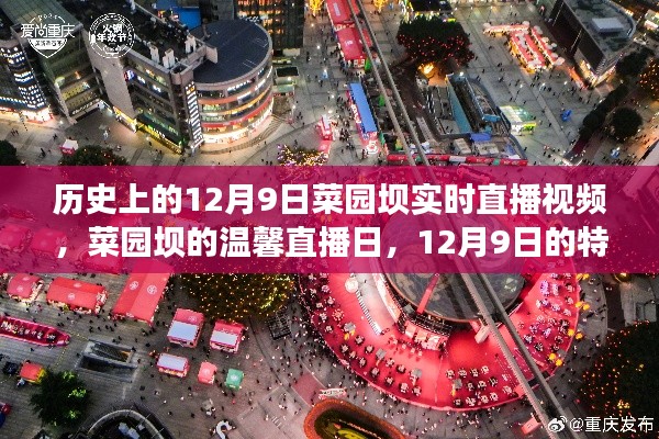 历史上的12月9日菜园坝实时直播视频，菜园坝的温馨直播日，12月9日的特别时光