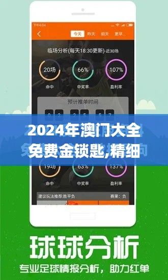 2024年澳门大全免费金锁匙,精细策略分析_RemixOS2.966