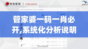管家婆一码一肖必开,系统化分析说明_Q3.482