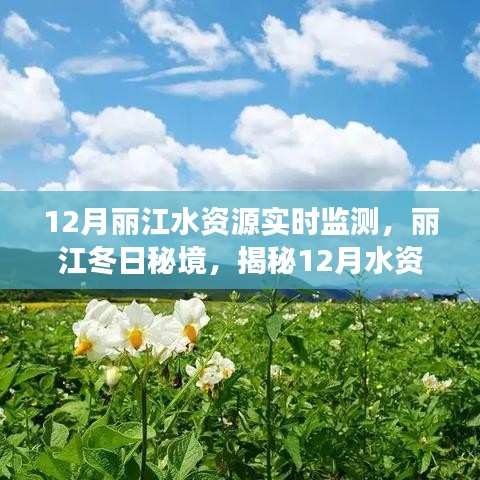 揭秘丽江冬季水资源实时监测背后的故事，冬日秘境的守护与关注