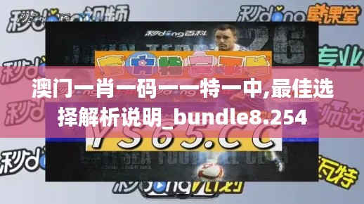 澳门一肖一码一一特一中,最佳选择解析说明_bundle8.254