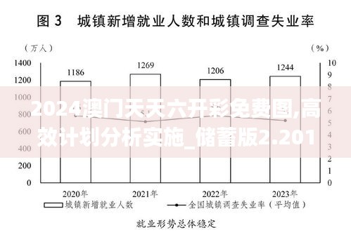 2024澳门天天六开彩免费图,高效计划分析实施_储蓄版2.201