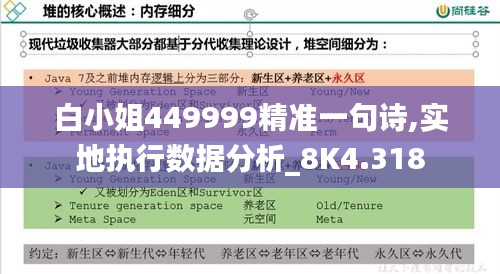 白小姐449999精准一句诗,实地执行数据分析_8K4.318