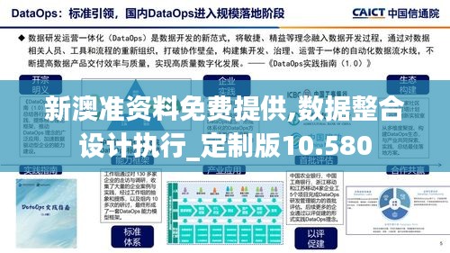 新澳准资料免费提供,数据整合设计执行_定制版10.580