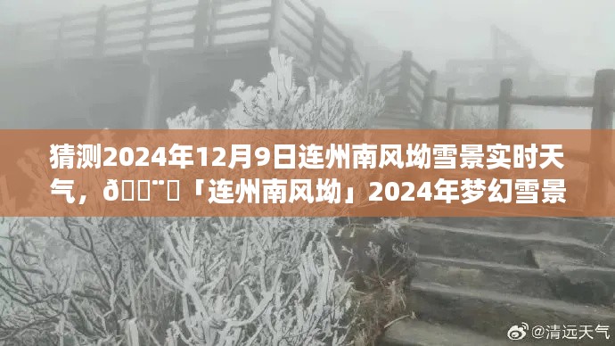 『连州南风坳梦幻雪景预报，2024年12月9日实时天气探索』
