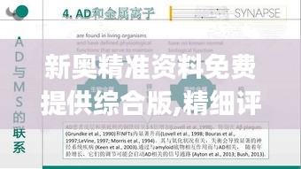 新奥精准资料免费提供综合版,精细评估解析_C版8.233