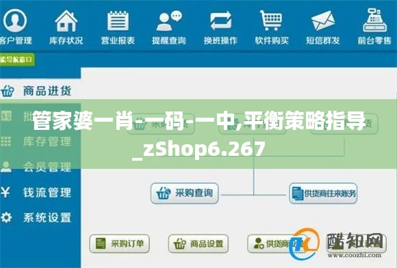管家婆一肖-一码-一中,平衡策略指导_zShop6.267