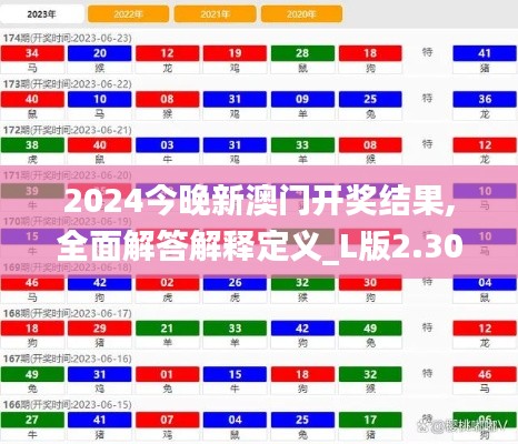 2024今晚新澳门开奖结果,全面解答解释定义_L版2.306