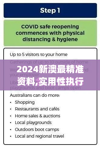 2024新澳最精准资料,实用性执行策略讲解_WearOS2.363