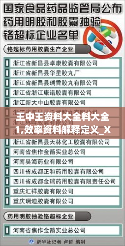 王中王资料大全料大全1,效率资料解释定义_XR18.941