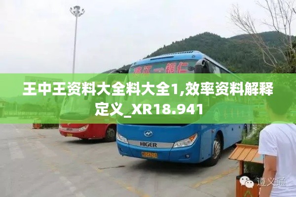 王中王资料大全料大全1,效率资料解释定义_XR18.941