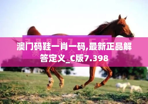 澳门码鞋一肖一码,最新正品解答定义_C版7.398