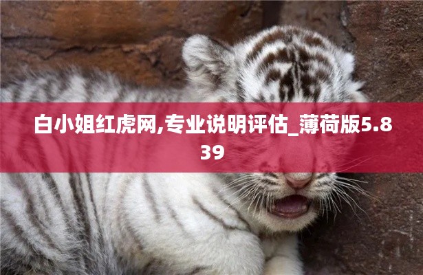 白小姐红虎网,专业说明评估_薄荷版5.839