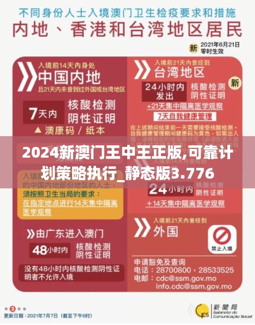 2024新澳门王中王正版,可靠计划策略执行_静态版3.776