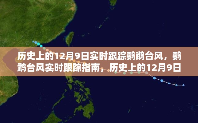历史上的12月9日鹦鹉台风实时追踪与记录指南,追踪与记录台风轨迹的必备知识返回搜狐,查看更多