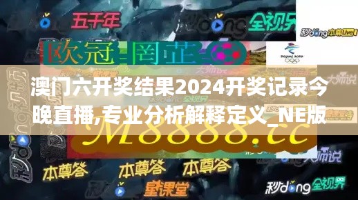 澳门六开奖结果2024开奖记录今晚直播,专业分析解释定义_NE版10.470