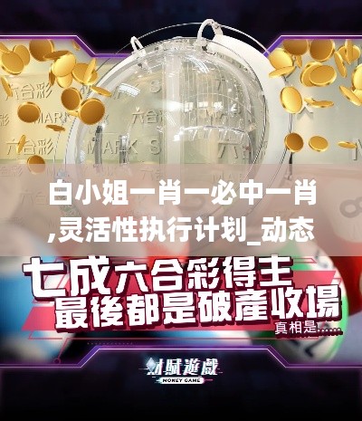 白小姐一肖一必中一肖,灵活性执行计划_动态版2.888