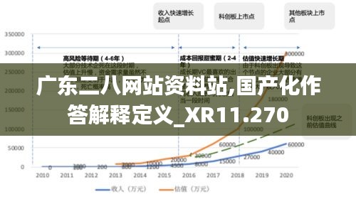 广东二八网站资料站,国产化作答解释定义_XR11.270