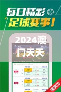 2024澳门天天开好彩,灵活性方案实施评估_影像版4.666