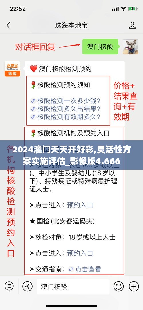 2024澳门天天开好彩,灵活性方案实施评估_影像版4.666